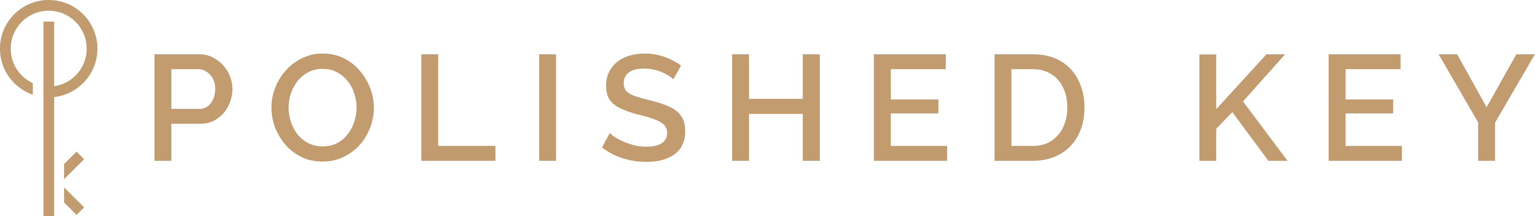 Polished Key Logo